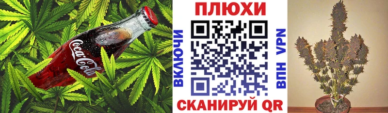площадка как зайти  Кохма  Canna-Cookies марихуана 