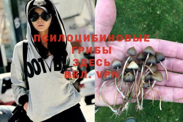 мескалин Алексеевка