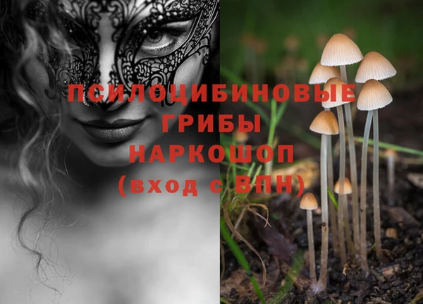 соль ск Абинск
