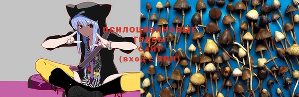 кокаин Алексин
