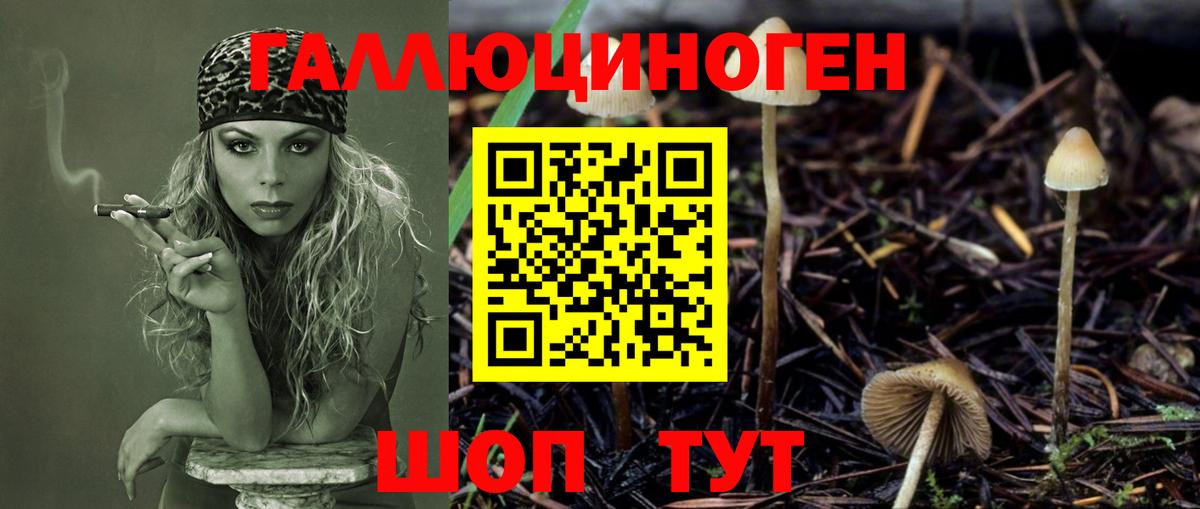 Галлюциногенные грибы Cubensis Кохма