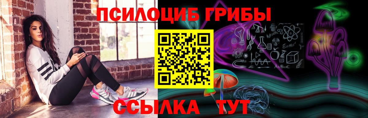 Псилоцибиновые грибы Psilocybe  Вход с VPN  Кохма  даркнет сайт  Псилоцибиновые грибы MAGIC MUSHROOMS 