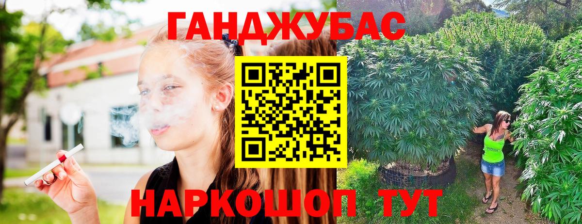 Канабис конопля Кохма